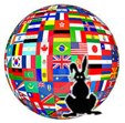 International Magic